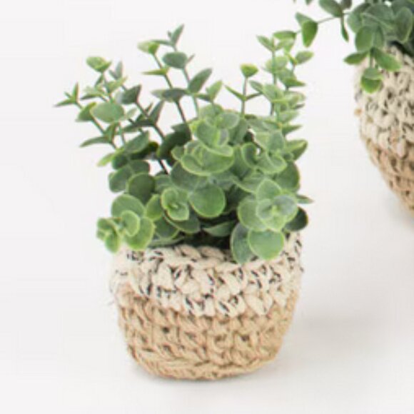 Artificial Eucalyptus Plant in a Woven Pot - Picture 2 of 2